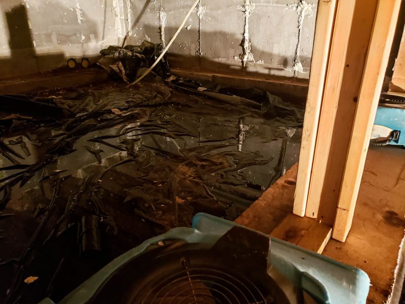 Basement Water Removal in Scottsdale, AZ