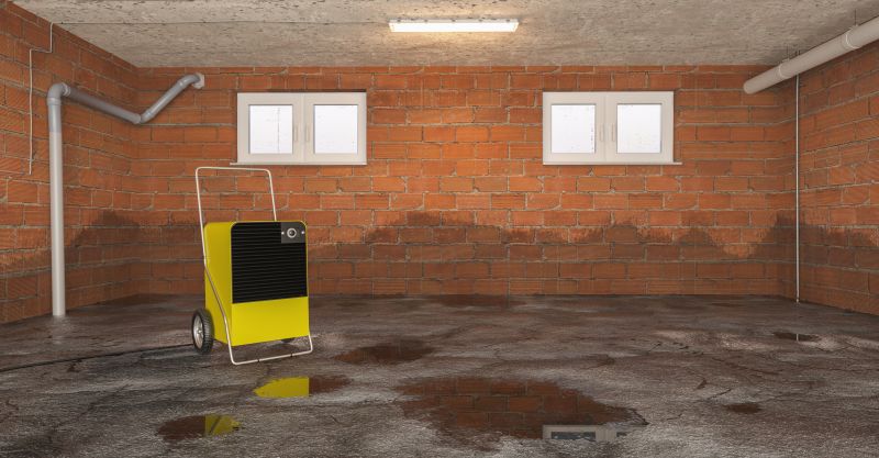 Basement Water Removal in Mesa, AZ