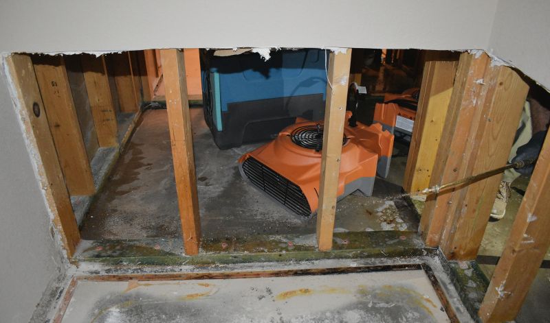 Water Damage Cleanup in Chandler, AZ