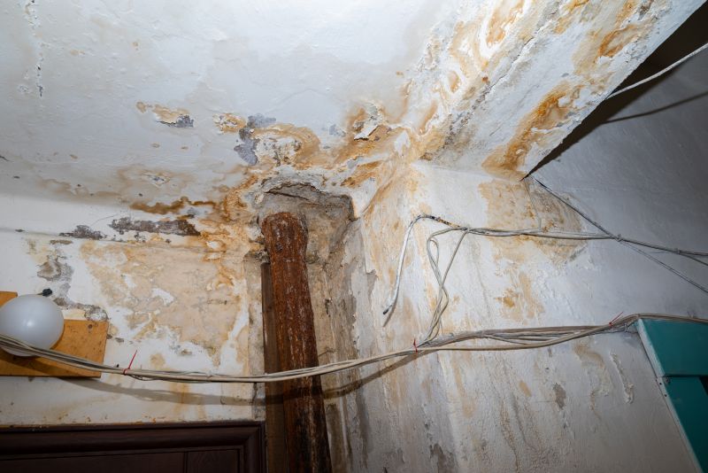 Water Damage Cleanup in Mesa, AZ