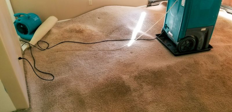 Water Extraction Service in Scottsdale, AZ