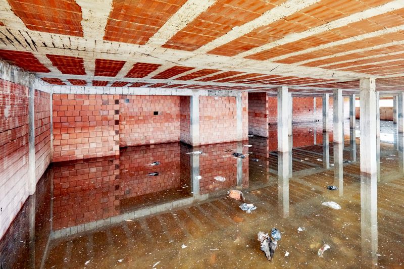 Crawl Space Water Remediation in Chandler, AZ