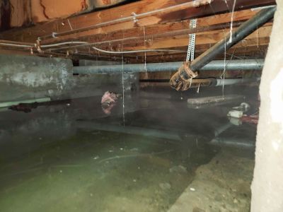 Local Crawlspace Waterproofing pros at work