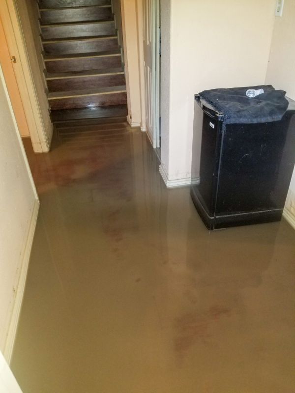 Emergency Water Removal in Gilbert, AZ